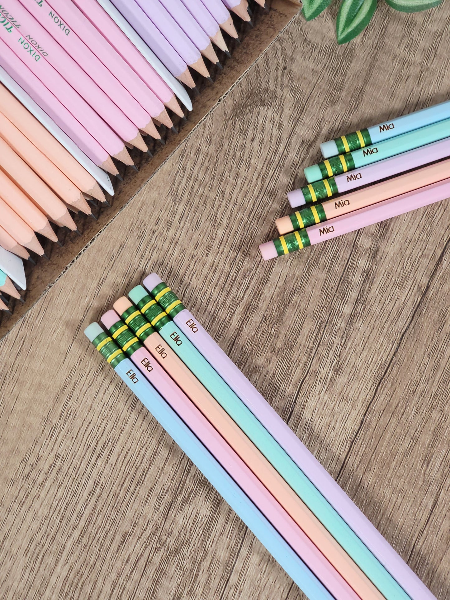 Engraved Pencils- Pastel