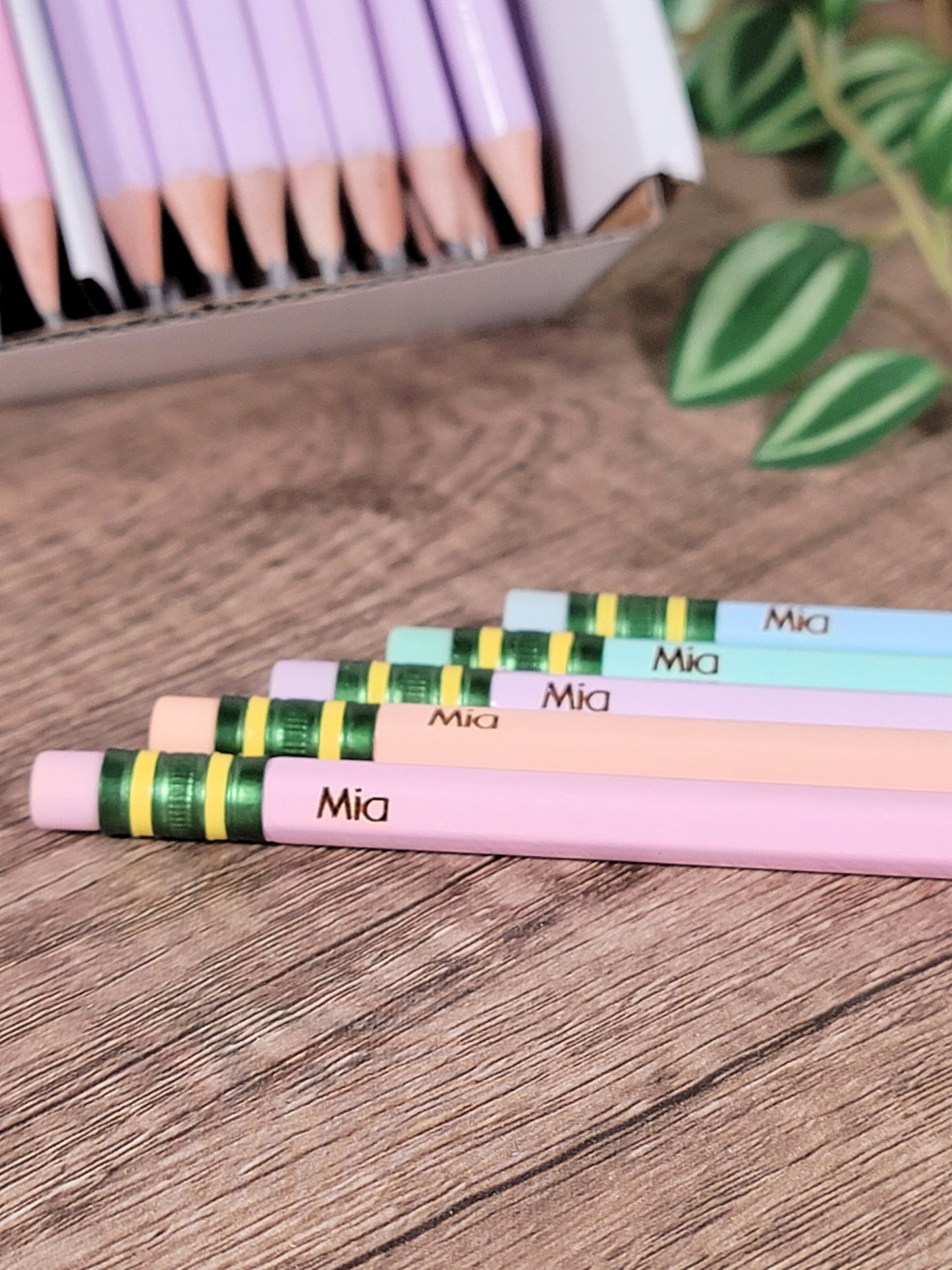 Engraved Pencils- Pastel