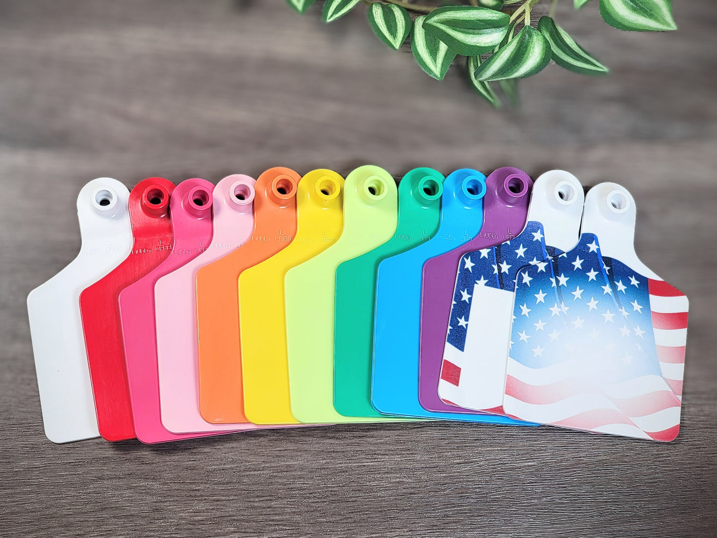 Custom Cattle & Bag Tags