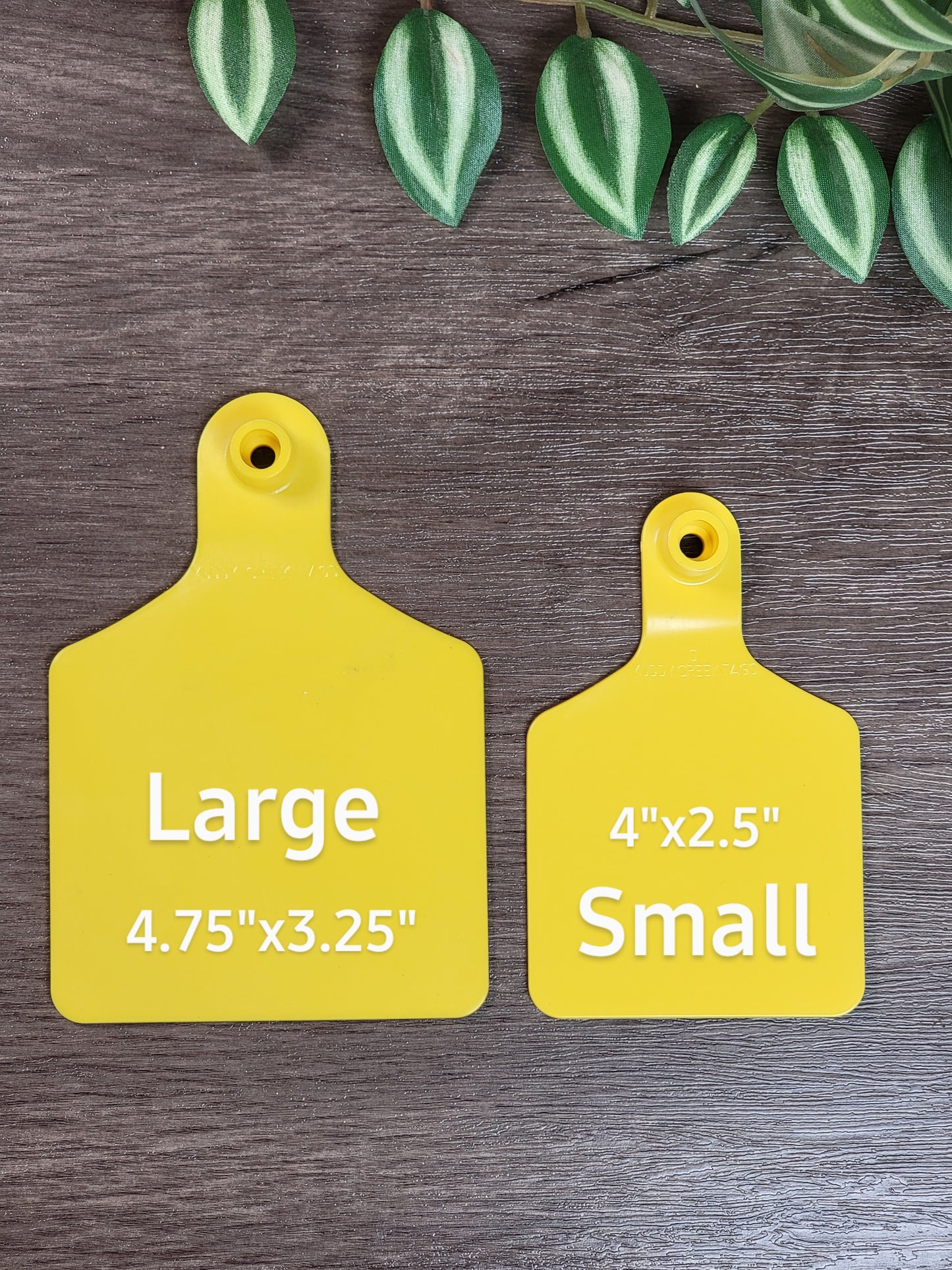 Custom Cattle & Bag Tags
