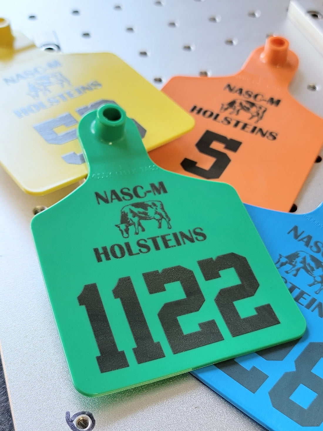 Custom laser engraved cattle tag with QR codes — 4-H and FFA show animal tags by The Burn Shack, Denair CA