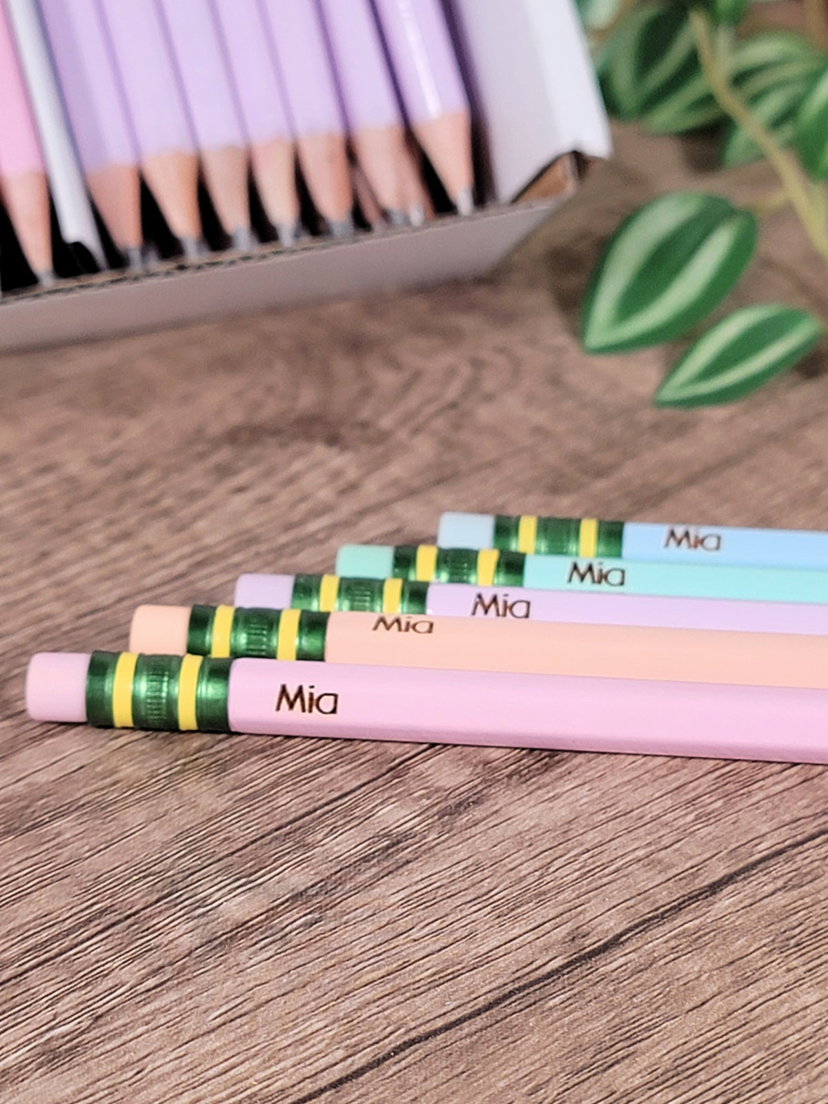 Burnt Shack Engraved Pencils- Pastel – The Burn Shack