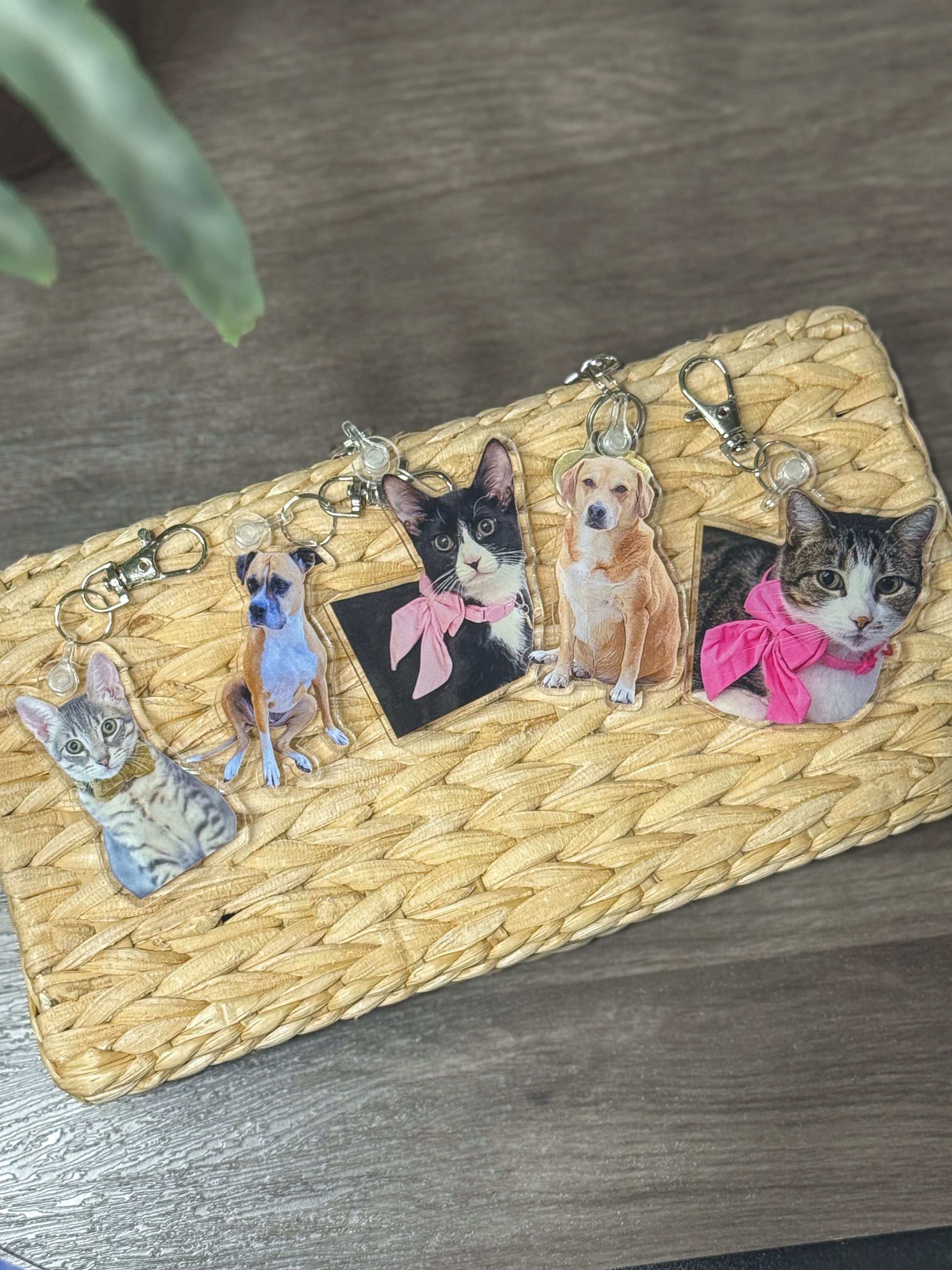 Multi-pet photo keychain design example